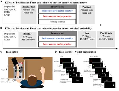 Dynamic motor practice improves movement accuracy, force control and leads to increased corticospinal excitability compared to isometric motor practice